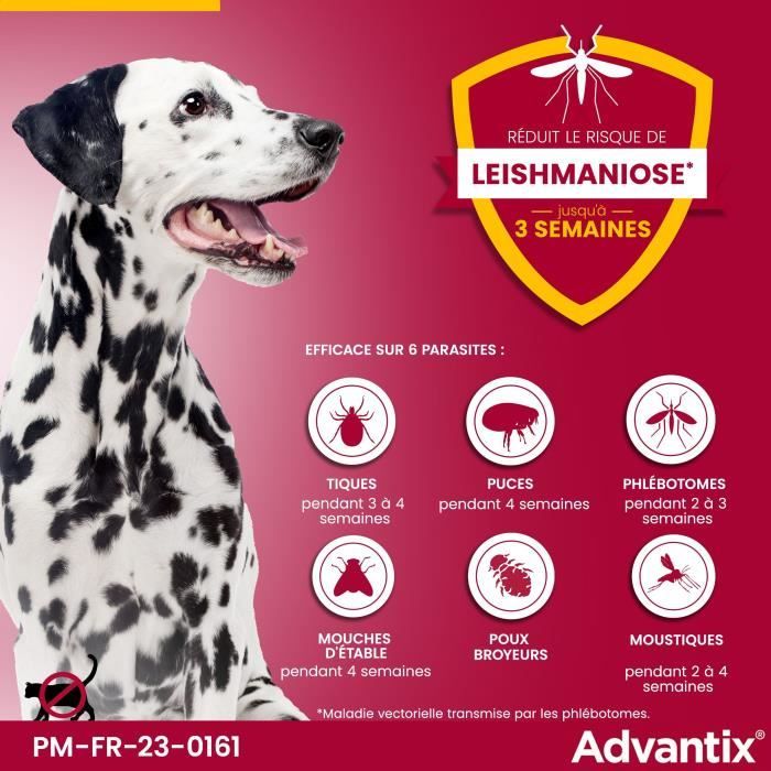 Advantix Chien Solution Antiparasitaire Grande Race 25 a 40kg 4 pipettes