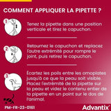 Advantix Chien Solution Antiparasitaire Puces Tiques Répulsif Mouches Moustiques Phlébotomes 1,5 a 4kg 4 pipettes
