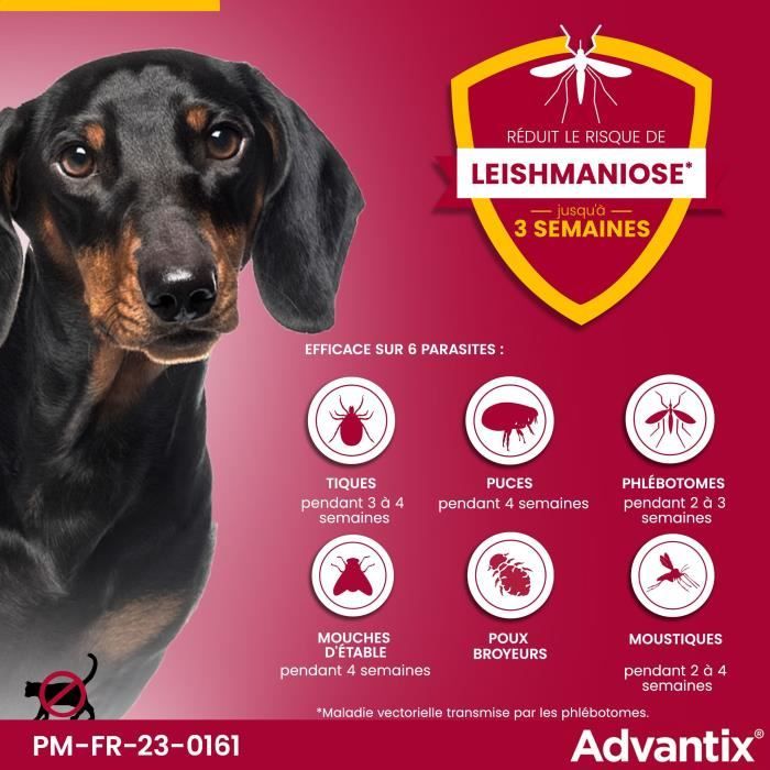 ADVANTIX Chien Solution Antiparasitaire Petite Race 4 a 10kg 4 pipettes