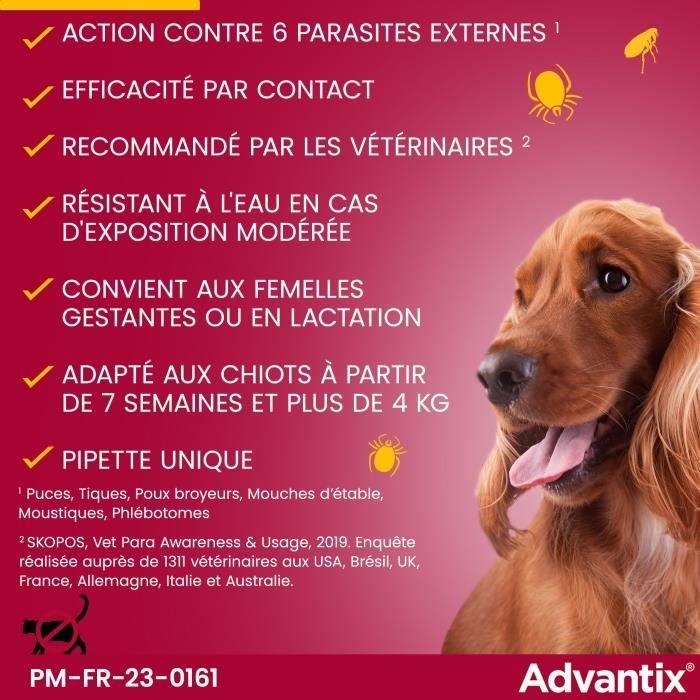 Advantix Chien Solution Antiparasitaire Petite Race 4 a 10kg 6 pipettes