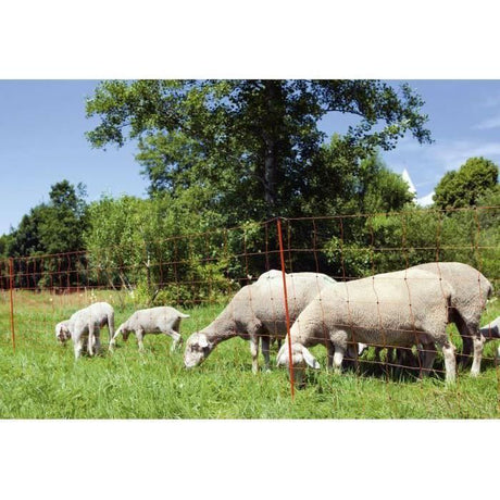 KERBL -  Filet pour moutons OviNet électrifiable - Longueur 50 m - Hauteur 90 cm - 14 piquets