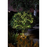 Guirlande solaire extérieure LUCIOLE 200 leds blanc chaud - SMART GARDEN - 21.9m