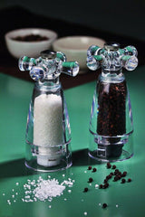 Moulin a sel - BISETTI - SAVONA - 17,5 cm - Acryl