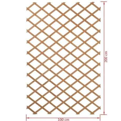 Treillis extensible en bois 100 x 200 cm Nature