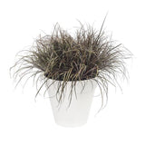 ELHO Pot de fleurs rond avec roues Loft Urban - Ø 38.5 x 35,3 cm - Blanc