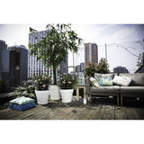 ELHO Pot de fleurs Rond Loft Urban - Ø 38,5 x H 35,3cm - Gris anthracite - Avec roues