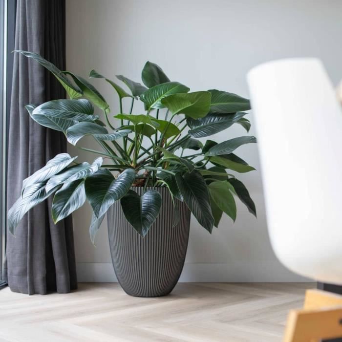 CAPI EUROPE Vase élégant GROOVE - 46x58 cm - Anthracite - 100% recyclable