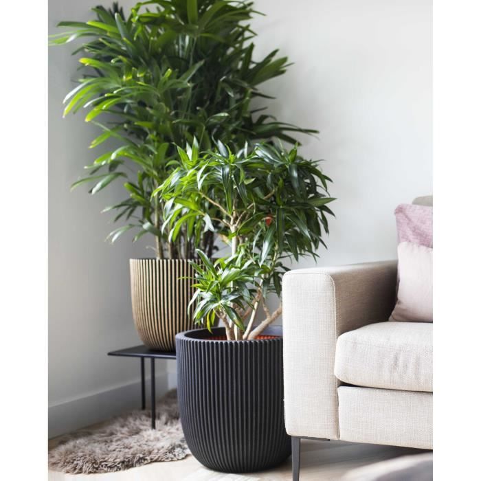 CAPI EUROPE Jardiniere GROOVE - 43x41 cm - Noir et doré - Plastique texturé