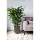 CAPI EUROPE Jardiniere GROOVE - 43x41 cm - Noir et doré - Plastique texturé