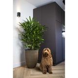 CAPI EUROPE Vase élégant GROOVE - 34x46 cm - Noir et doré - Résistant aux intempéries