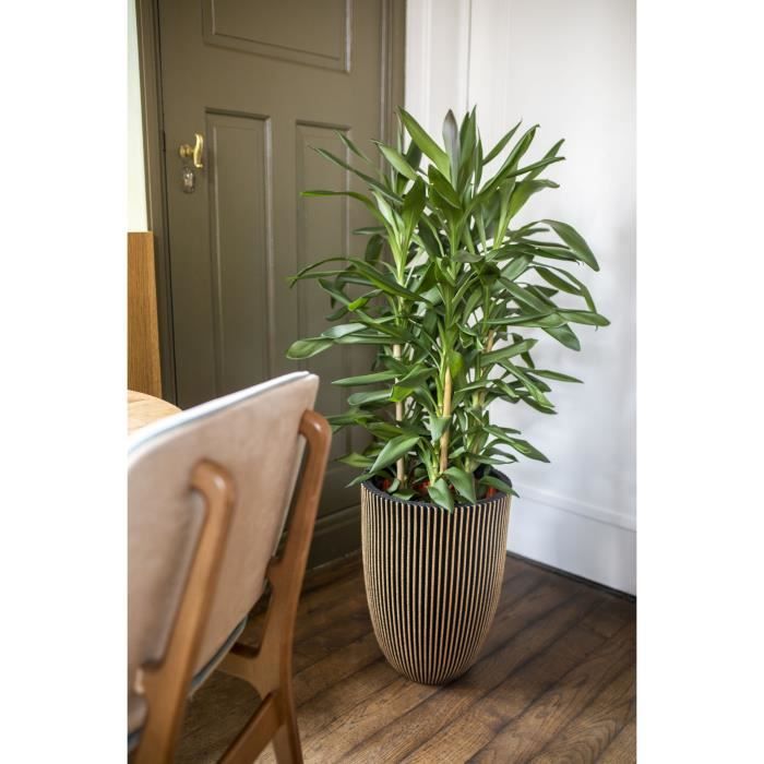 CAPI EUROPE Vase élégant GROOVE - 34x46 cm - Noir et doré - Résistant aux intempéries