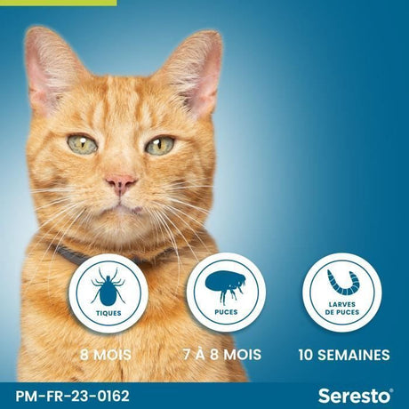 SERESTO Chat Collier Anti-Puces et Anti-Tiques - Protection 7a 8 mois