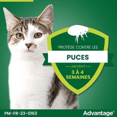 Advantage Solution Antipuce Chat Lapin 1 a 4kg 6 pipettes