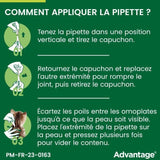 Advantage Solution Antipuce Chat Lapin 1 a 4kg 6 pipettes