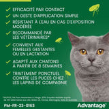 ADVANTAGE Solution Antipuce Chat Lapin +4kg 4 pipettes