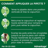 ADVANTAGE Solution Antipuce Chat Lapin +4kg 6 pipettes