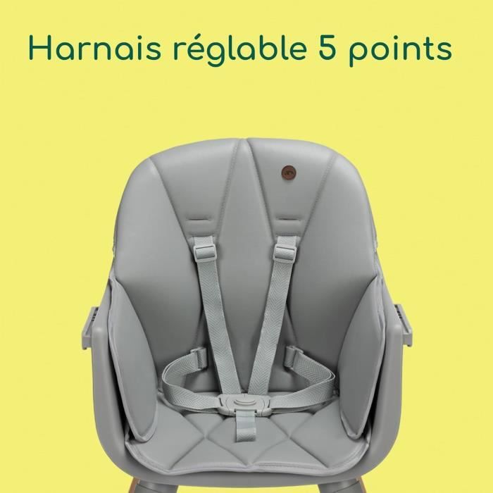 BEBECONFORT AVISTA 2 Chaise haute évolutive, Des 6 mois jusqu' a 6 ans (30 kg), TINTED GRAY