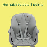 BEBECONFORT AVISTA 2 Chaise haute évolutive, Des 6 mois jusqu' a 6 ans (30 kg), TINTED GRAY