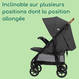 BEBECONFORT MISTY DUO, Poussette duo, siege auto Gr0+ R129, grand panier,0 a 4 ans,0 a 22 kg,adaptateurs, Mineral Graphite