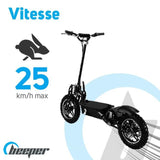 Trottinette Èlectrique BEEPER Cross FX1000-S - 1000 W - Pliable - Batterie Plomb - 36 V - Sans selle