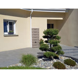 Récupérateur d'eau - BELLI - Dune -  320 litres - Anthracite