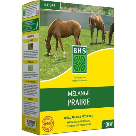 Semence de Gazon - BHS - Mélange Prairie 1kg | 100m˛ | Pour zones extensives et pâturage | Installation rapide, résistant