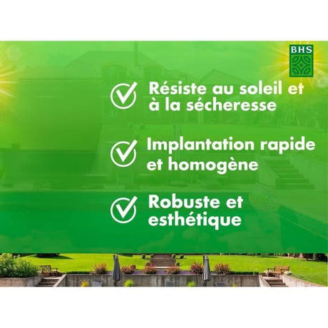 Semence de gazon - BHS - Gazon Rustique Sud - 1kg, 40 m˛. Résistant aux conditions seches grâce a la fétuque élevée.