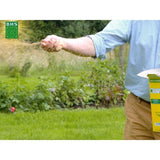 Gazon - BHS - Gazon Rustique Sud - 1kg, 40 m². Résistant aux conditions seches grâce a la fétuque élevée. Rapide et homogene.
