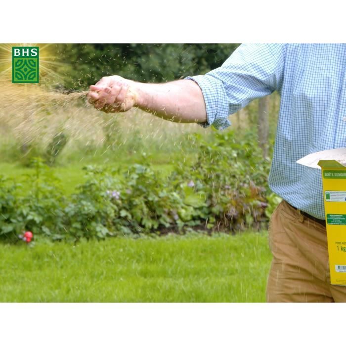 Dichondra - BHS - 300g | 25 m² | Climats doux | Semences enrichies en engrais organique | Implantation rapide et homogene.