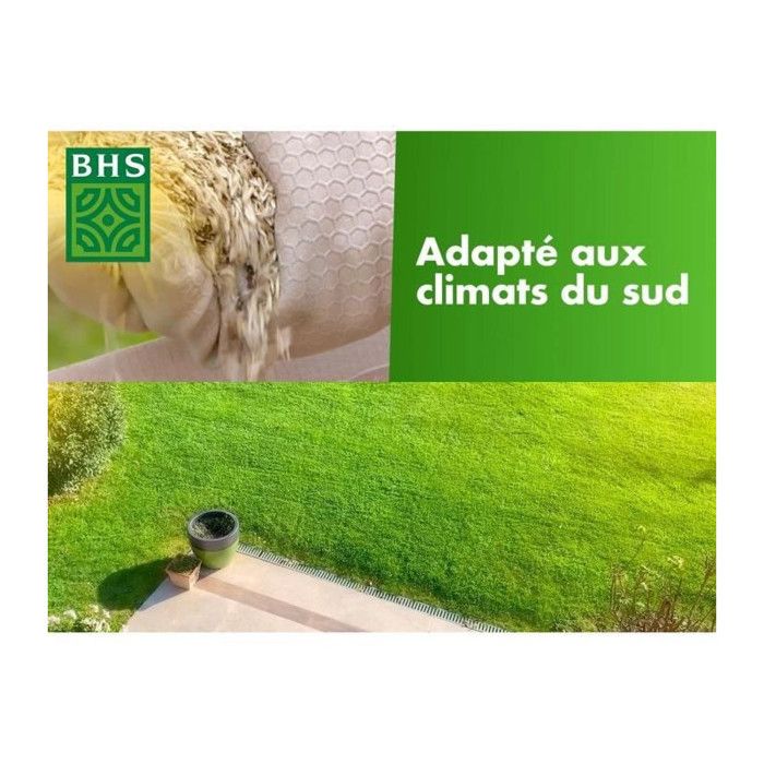Semence de Gazon rustique - BHS - Capacité 10 kg - Implantation rapide et homogene