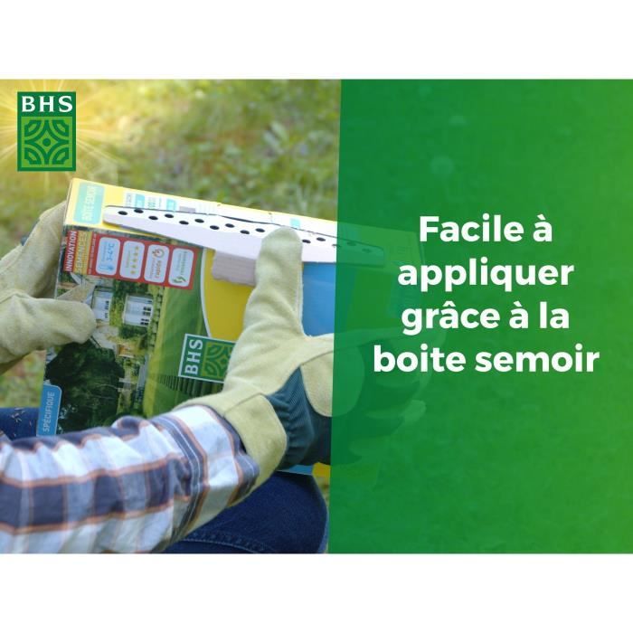 Gazon - BHS - Gazon Bord de Mer 1kg | 40m² | Résistant vent, sécheresse, salinité | Beau gazon d'été, esthétique et robuste.