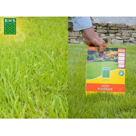 Semence de Gazon rustique - BHS - Boîte de 3 kg - Résistant aux conditions climatiques difficiles - Soleil - Rouge