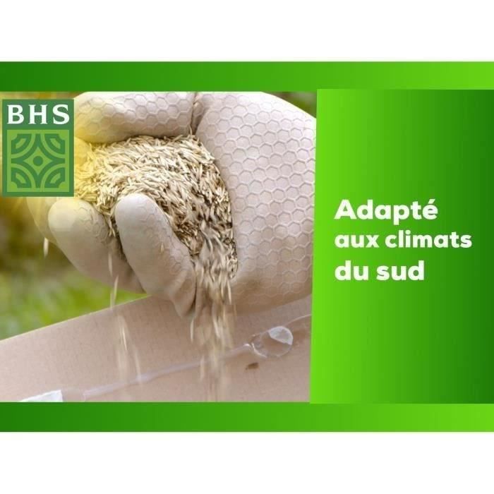 Gazon - BHS - Gazon Bord de Mer 10kg | Résistant vent, sécheresse, salinité | Beau gazon d'été, esthétique et robuste.