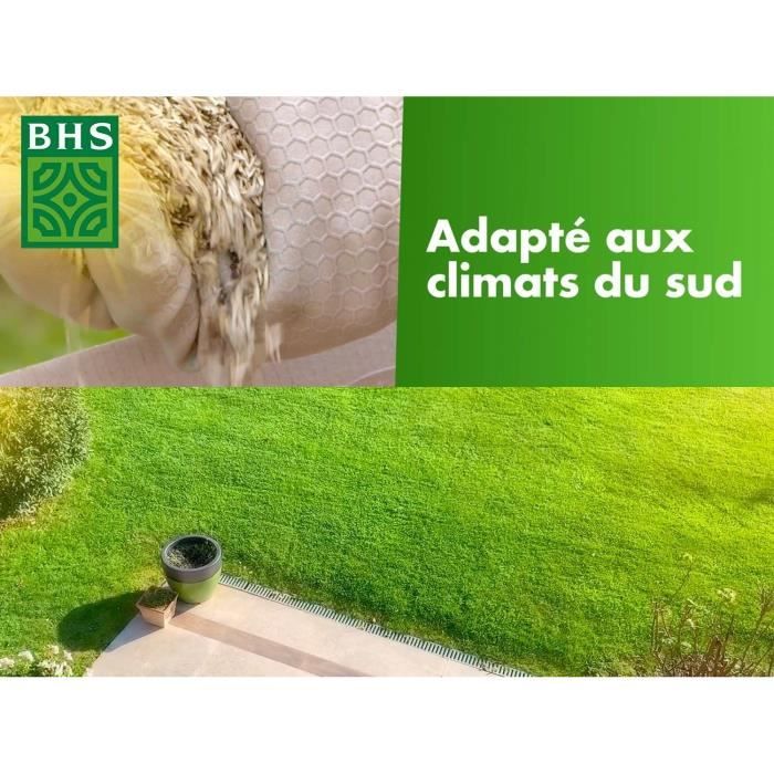 Gazon - BHS - Gazon Rustique Sud - 10kg - Résistant aux conditions seches grâce a la fétuque élevée. Rapide et homogene.