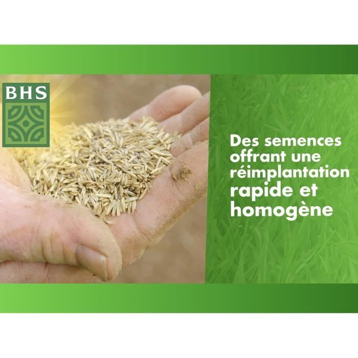 Gazon Regarnissage Terrain Sec - BHS - 1kg | 40 m² | Résistant et durable, avec excellente pérennité et tolérance aux piétinements.