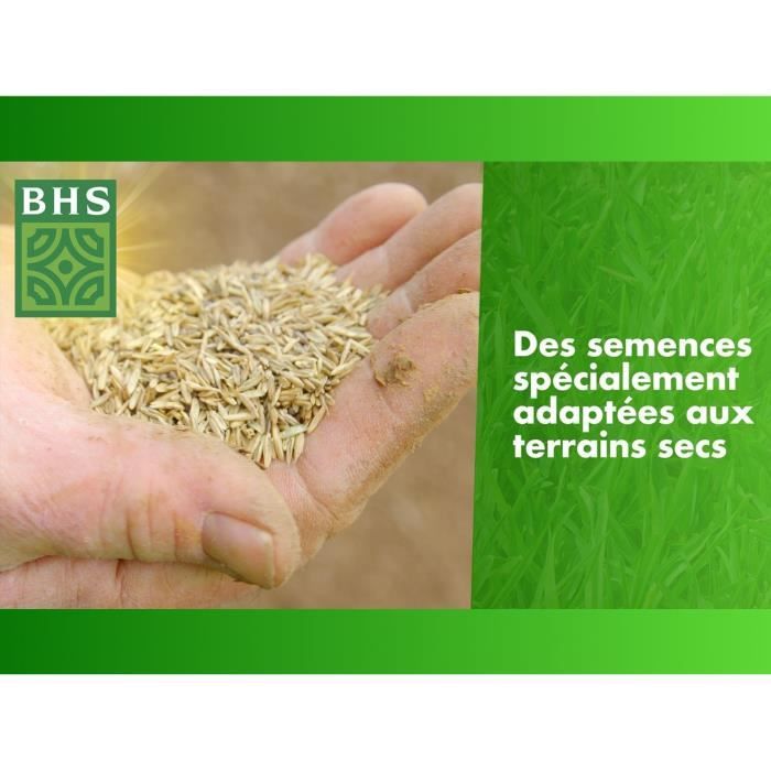Gazon Regarnissage Terrain Sec - BHS - 3kg | 150 m² | Résistant et durable, avec excellente pérennité et tolérance aux piétinements.