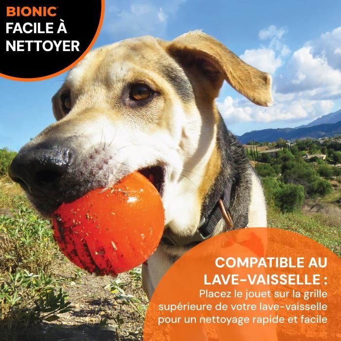 Jouet pour chien - BIONIC - Balle - Taille Medium 6,7 cm - Caoutchouc ultra résistant - sans plomb, BPA ni phtalates