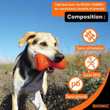 Jouet pour chien - BIONIC - Os - Taille Medium 12 cm - Caoutchouc ultra résistant - sans plomb, BPA ni phtalates