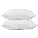 BLANREVE Lot de 2 Oreillers en coton - 60 x 60 cm - Blanc