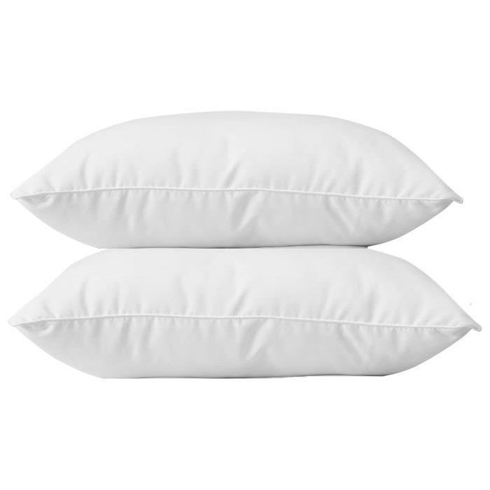 Lot de 2 Oreillers Coton - BLANREVE - 60 x 60 cm - Blanc