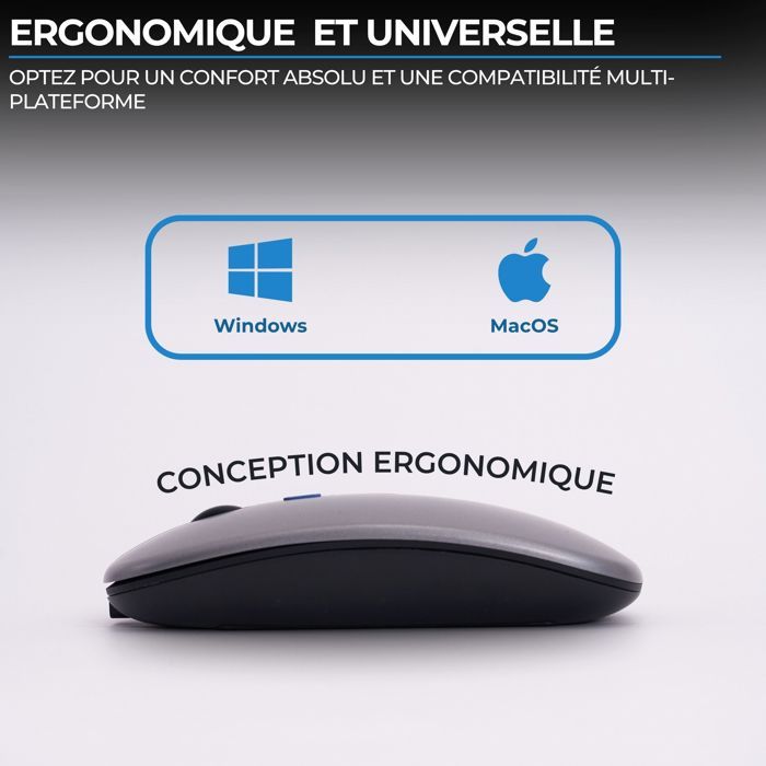 Souris - Sans fil - BLUESTORK - M-WL-OFF105 - Silencieuse - Bluetooth ou dongle 2,4 GHz - Gris/Noir