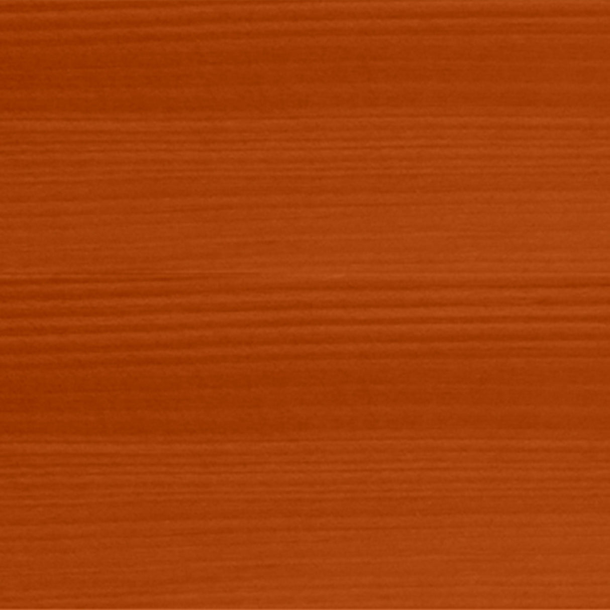 Lasure 2 en 1 protection extérieure - Teck - Satin - Protection 12 ans - Toutes saisons - Bondex - 5L