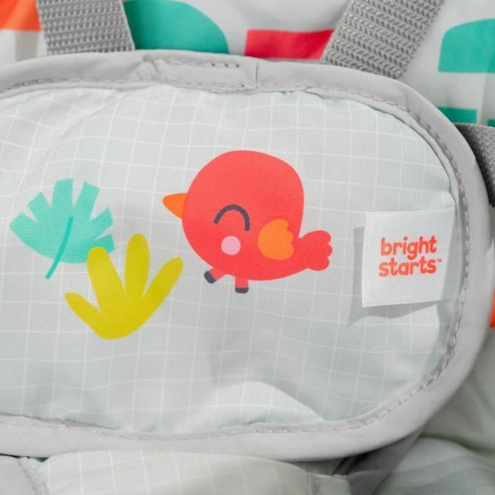 BRIGHT STARTS Transat bébé Balancelle électrique pliable  Animaux, 6 vitesses balancement, Cadeau Noel bébé