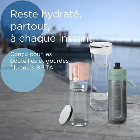 Cartouche BRITA - MicroDisc - Pack de 6 - 1 filtre = 1 mois de filtration