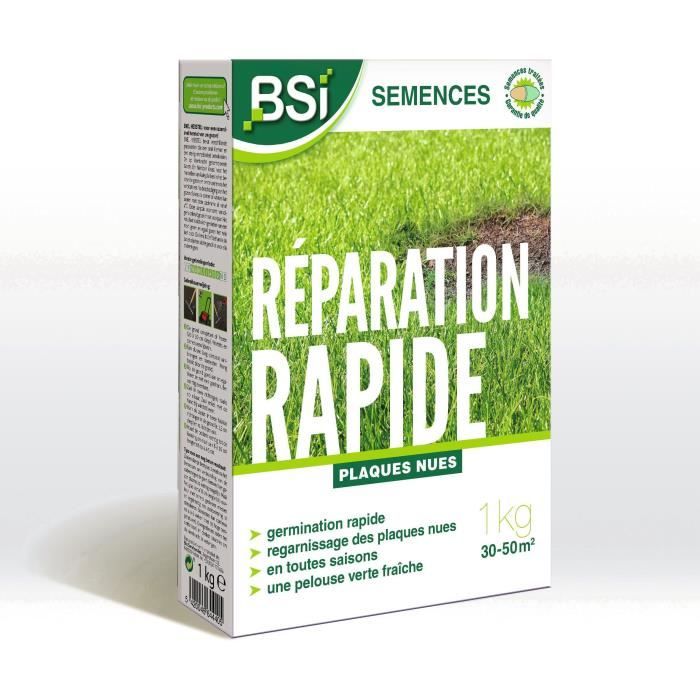 BSI - Semences de Gazon - Réparation Rapide - Avec Enrobage Protecteur - Haute qualité - jusqu'a 50m² - 1Kg