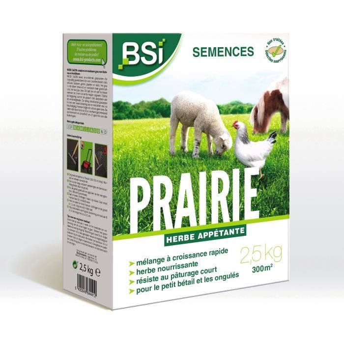 BSI - Semences de Gazon - Prairie - Haute qualité - Grande Surface - Jusqu'a 375m² - 2,5Kg