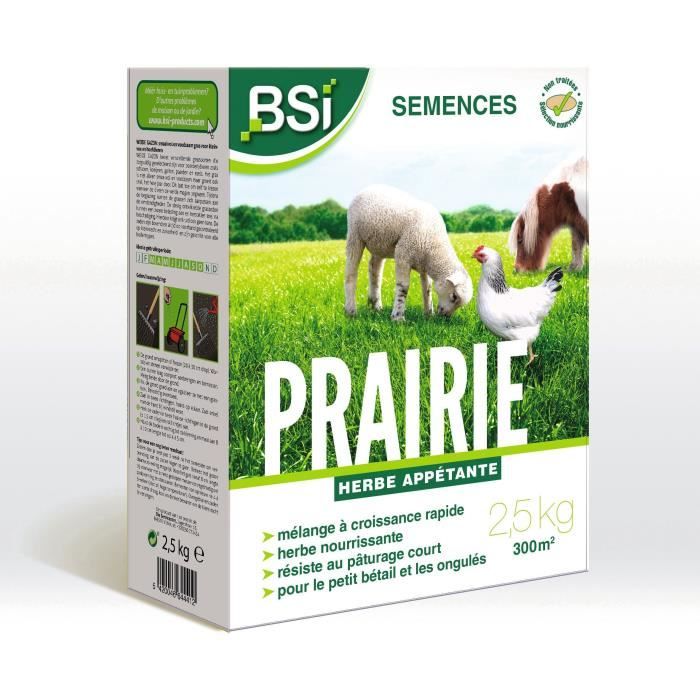 BSI - Semences De Gazon - Prairie - Tres Haute qualité - Grande Surface - Jusqu'a 300m² - 2,5Kg