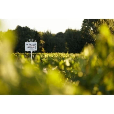 Coffret Médailles d'Or de Bordeaux :2020 Château du Lort, La Croix Montlabert, Châteaux Tour Prignac - Vin Rouge de Bordeaux