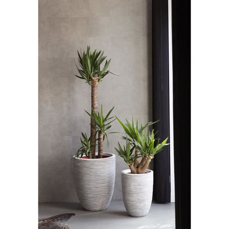 CAPI EUROPE Pot de fleurs NATURE RIB - 36x47 cm - Ivoire