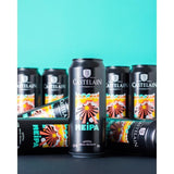Biere Neipa - Castelain - 5.50% Vol. - Canettes 12x50cl